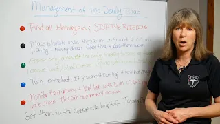 The Deadly Triad of Trauma Video 4 Treatment