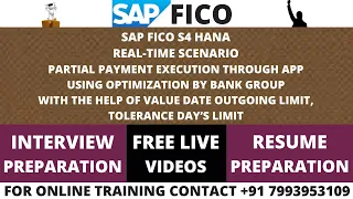 SAP FICO S4 HANA REAL-TIME SCENARIO,PARTIAL PAYMENT EXECUTION THROUGH APP USING OPTIMIZATION BY BANK