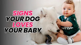 Unconditional Love: The Bond Between Babies and Dogs | Signs Your Dog is Smitten with Your Baby