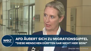 MIGRATIONSGIPFEL: AfD-Chefin Alice Weidel kritisiert Politik der Ampel I WELT Exklusiv