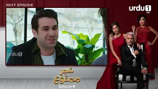 Shajar-e-Mamnu | Episode 359 Teaser | Turkish Drama | Forbidden Fruit | Urdu Dubbing | 25 April 2022