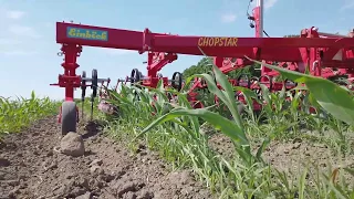 Cultivating Organic Corn with Camera Guidance System