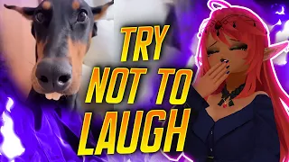 Try not to Laugh Challenge! ft Ant