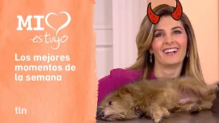 Isabela atenta contra la vida de Siete 🐶 | Momentos clave de la semana de Mi corazón es tuyo | tln