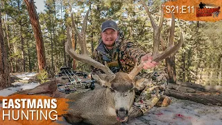 Mule Deer Rut Bow Hunt with Ike Eastman