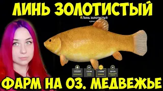 Трофейный ЛИНЬ ЗОЛОТИСТЫЙ и фарм на оз. Медвежье Russian Fishing 4 Русская рыбалка 4 RF4 РР4