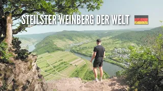 Klettersteig Calmont | Die schönste Wanderung der Mosel