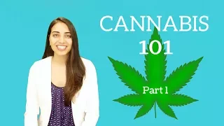 Cannabis 101: Part One!