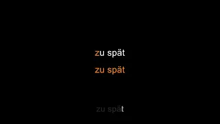 die ärzte - Zu Spät [Karaoke]