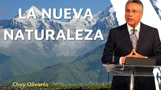 ThingsToLearn  La nueva naturaleza  Chuy Olivares 2024