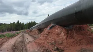 Заглядывая в" Кротовую нору".Разведка в Дивенской. Северный поток. Шведские горы.