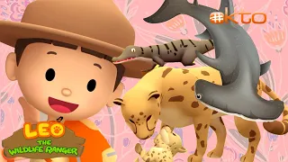 🚫🦈STAY AWAY from these DANGEROUS animals! 🐆🐊 | Leo the Wildlife Ranger | @mediacorpokto