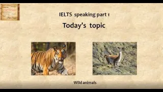 IELTS speaking part 1  Wild animals. Talking about animals which live in their natural habitats.