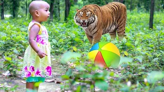 Tiger attacks man in deep forest while he works alone I Fun Made Movie