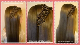 Braided 4 Strand Slide Up Accent Hairstyle
