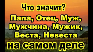 Образы слов Папа,Отец,Муж,Мужчина,Мужик,Веста,неВеста,Ведьма,Народ