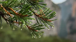 Didier Squiban Suite No 2 Ker Eon  - Suite de gavottes des montagnes