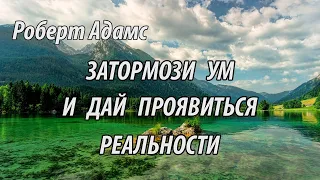 Затормози ум и дай проявиться реальности (Роберт Адамс.НикОшо)