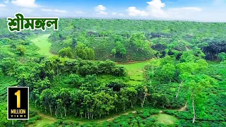 সম্পদে সৌন্দর্যের অনন্য শ্রীমঙ্গল || Sreemangal | Moulvibazar Sylhet || @PanoramaDocumentary