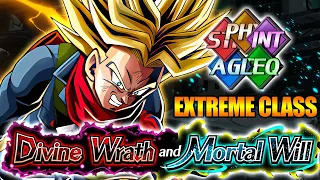 BEAT DIVINE WRATH AND MORTAL WILL STAGE 9 WITH AN EXTREME TEAM GUIDE! | DBZ: Dokkan Battle
