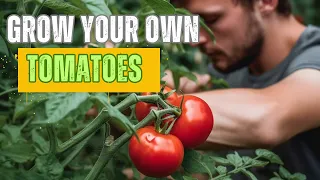 Growing Tomatoes 101: (A Beginner’s Guide)