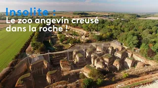 Insolite : le zoo angevin creusé dans la roche !