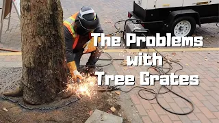 The Problems with Tree Grates - Pioneer Square, Seattle, Washington