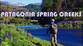 Patagonia Spring Creeks - Browns & Rainbows of Coyhaique Chile.