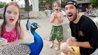 MY 36th BiRTHDAY!! Peacock Party 🦚 Adley and Niko plan a Surprise Morning! Swimming & Water Slides!