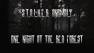 S.T.A.L.K.E.R. Anomaly Ambience - One Night at the Red Forest
