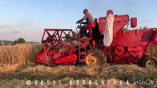 ДТЗ &MASSEY-FERGUSON 31