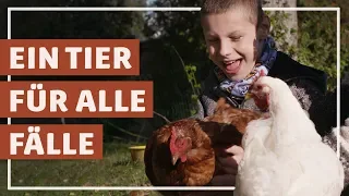 Therapie auf dem Bauernhof - Ein Tier für alle Fälle | HELDENLÄNDLE | Regio TV