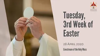 Catholic Weekday Mass Online - Tuesday, 3rd Week of Easter 2020