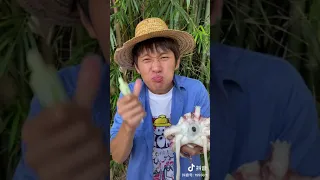 Funny Videos  China/Douyin 2020 P15