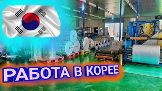 Работа в Корее. Южнокорейские будни.#koreavlog