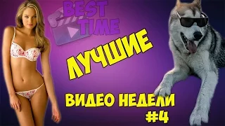 Лучшие видео недели! #4 - Пес зажигает танцпол