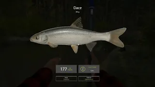 Russian Fishing 4 Beginner's Guide to RF4 Vol 7 Level 10-11 Winding Rivulet Pearl Barley