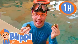 Blippi Searches for the Mother Pearl | Blippi | Preschool Kids Show