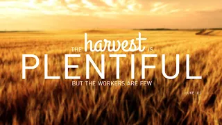 The Harvest Is Plentiful: (Matthew 9:36-38) Explained