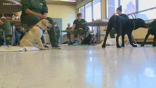 'Puppies Behind Bars' program gives inmates, dogs a new leash on life