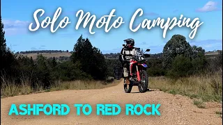 Solo Moto Camping - Ashford to Red Rock - CRF 300 Rally