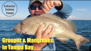 Grouper & BIG Mangrove Snapper in Tampa Bay Shipping Channel. How to Catch & Where They are.