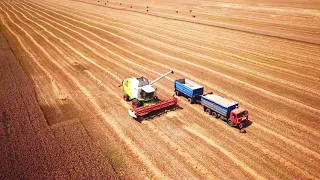 Dji Mavic Video 4k Уборка пшеницы / Harvesting wheat