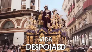 [4K] VIDA | Jesús Despojado en Rioja 2023 | Virgen de los Reyes