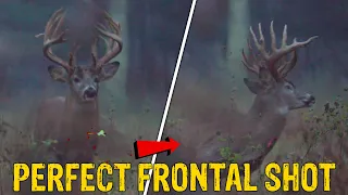 Perfect Frontal Shot on buck with Air Gun | Rut Hunt