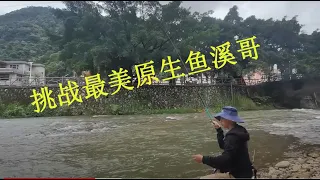 fish in the creek are big and fat. I caught a lot of them today and it is colorful fishing in China