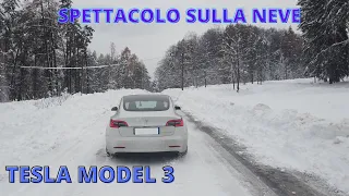 TESLA MODEL 3 || Spettacolo sulla neve