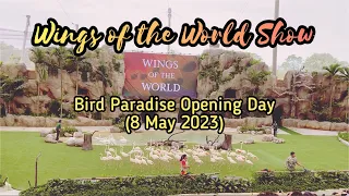 Wings of the World Show | Bird Paradise Singapore | Opening Day 8 May 2023