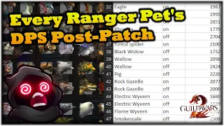 I DPS Tested Every Ranger Pet Post-Patch - Guild Wars 2