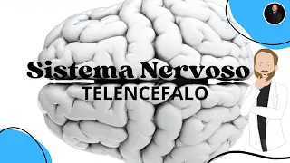 TELENCÉFALO - Cérebro, hemisférios cerebrais, áreas corticais e funções corticais de cada lobo